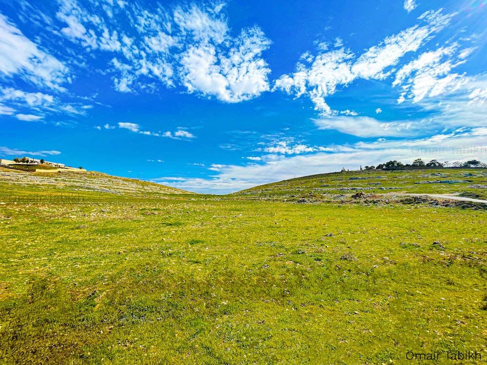 a grassy field with a blue sky