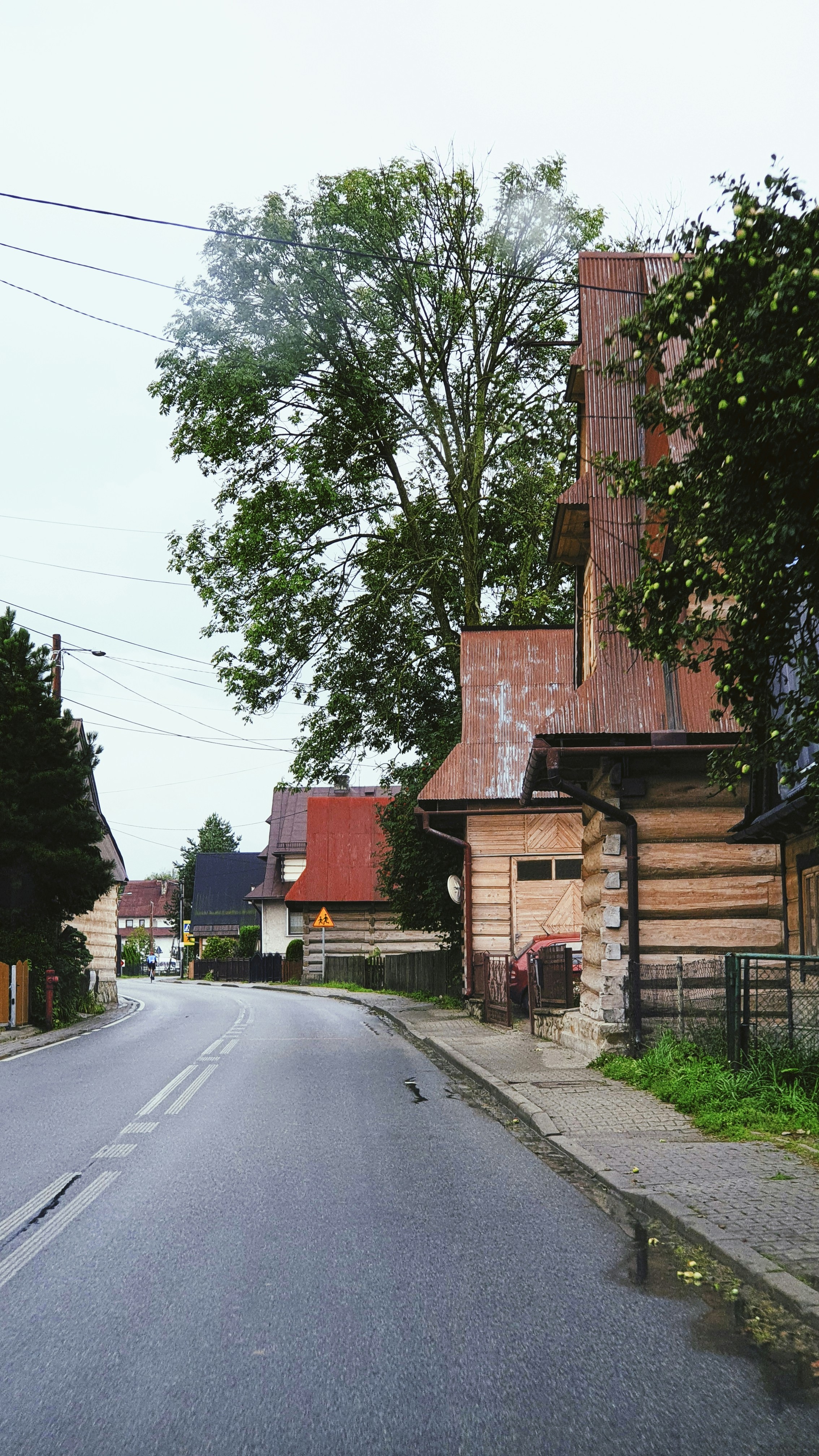 a road with a tree and buildings along it