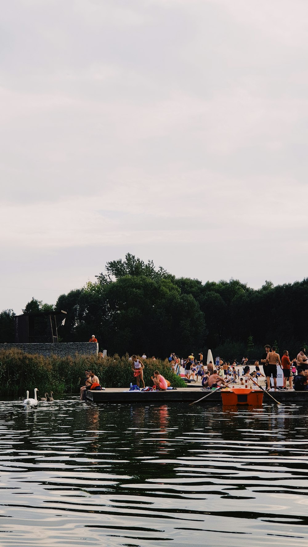 a group of people rowing a boat