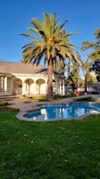 a palm tree in front of a house