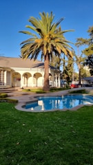 a palm tree in front of a house
