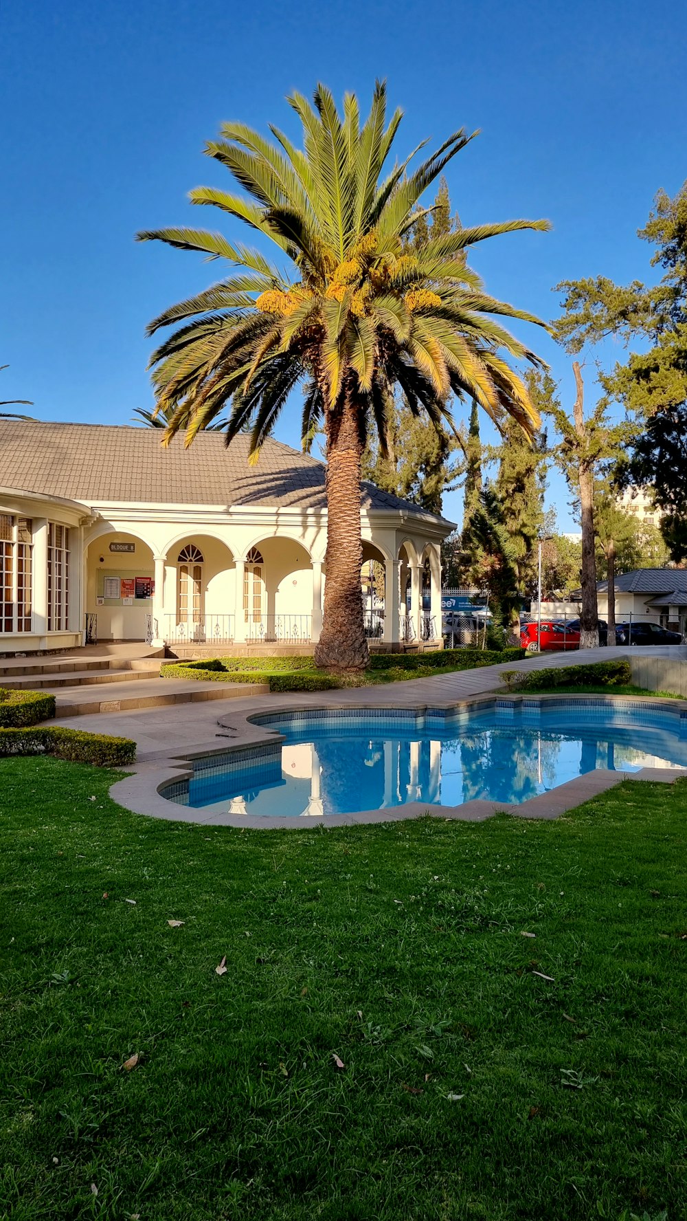 Un palmier devant une maison