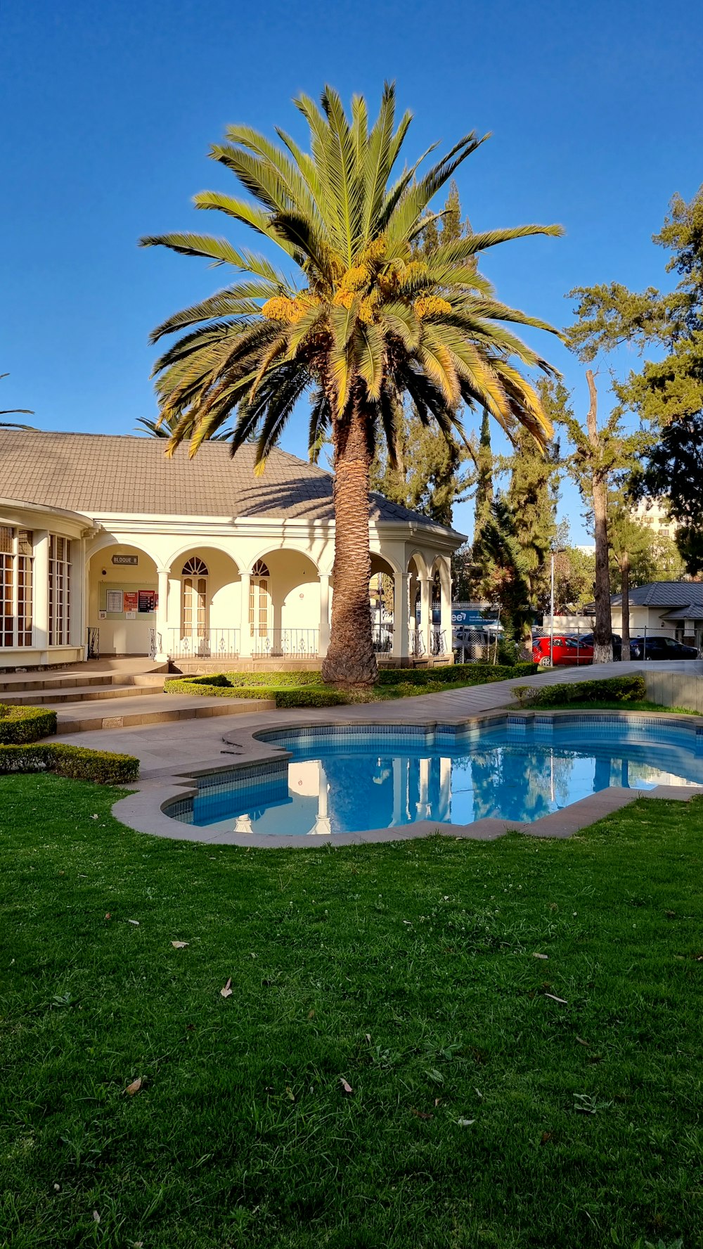 a palm tree in front of a house