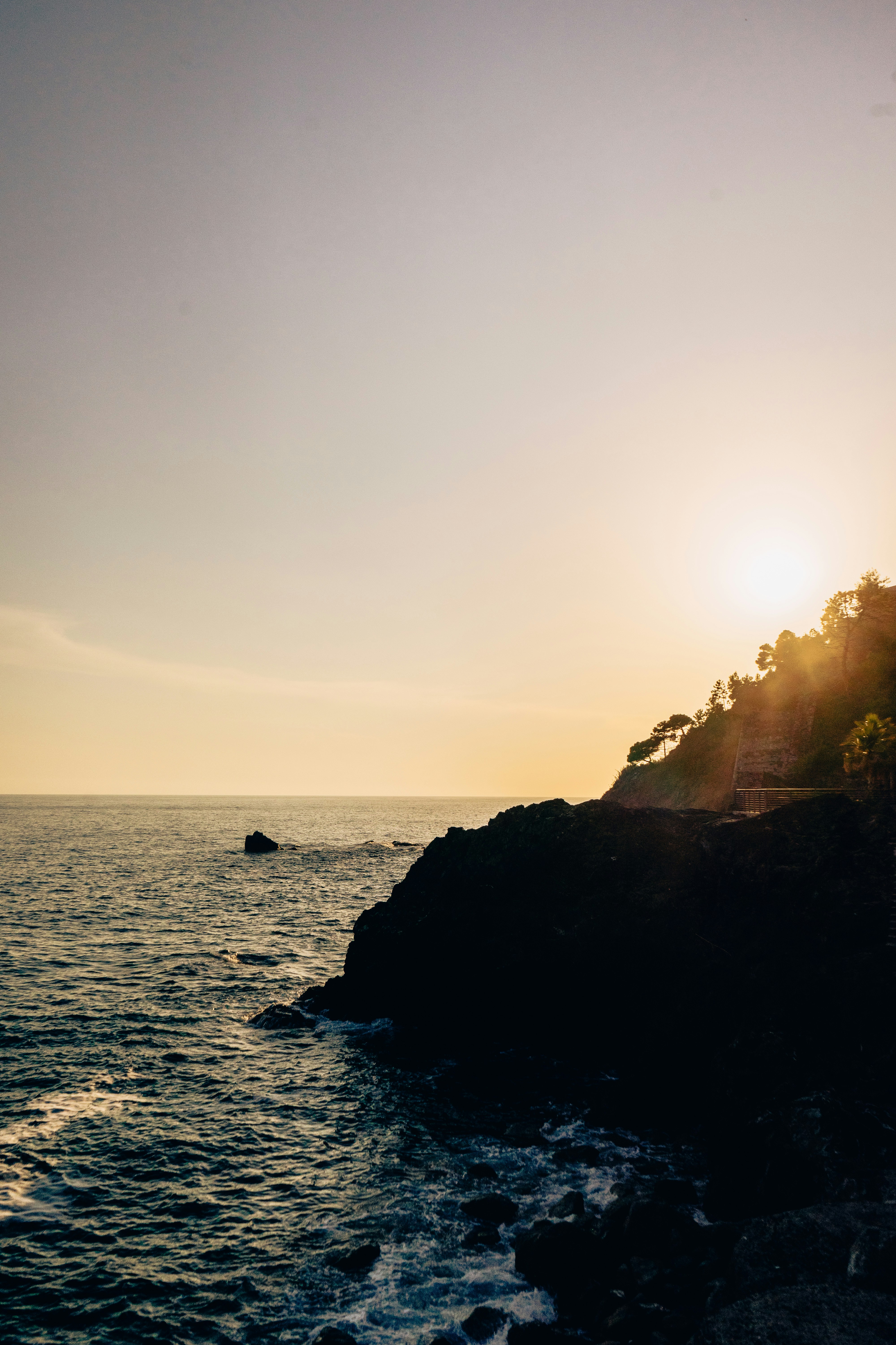 Photo by virussinside