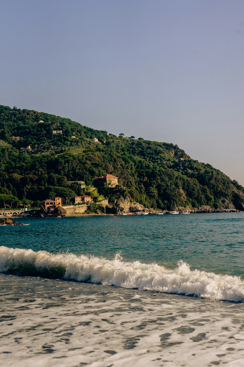 a beach with houses and trees