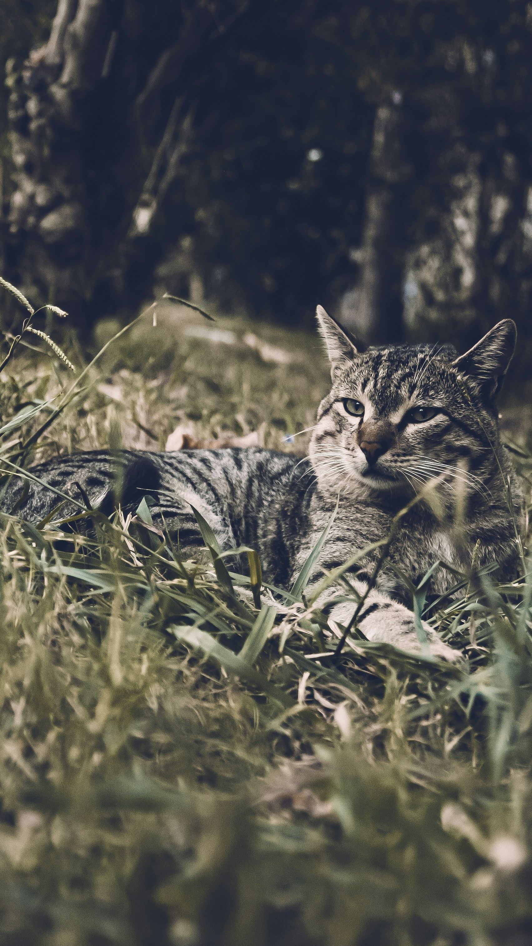 Photo by bita_eskandari