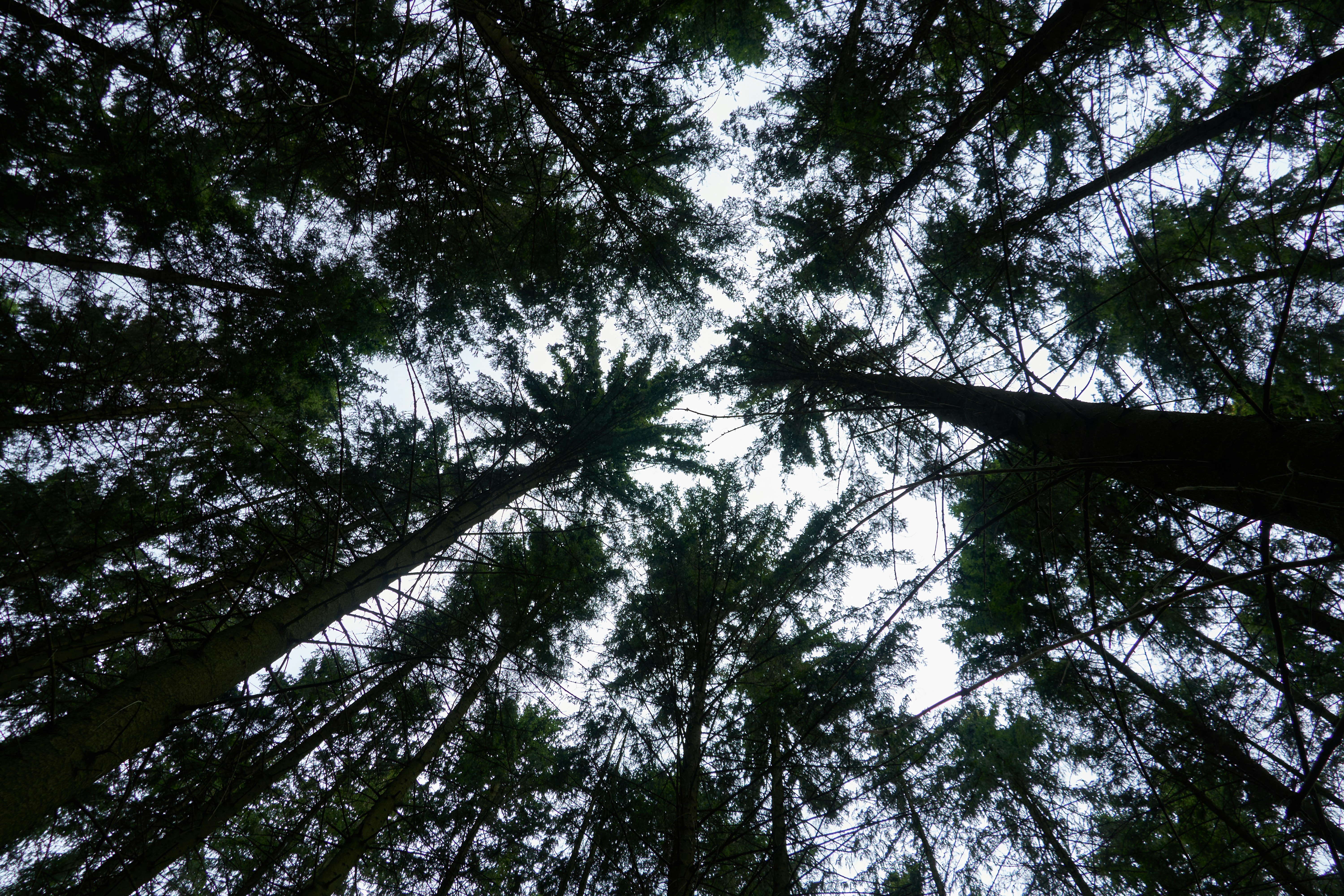 Photo by lostillusion