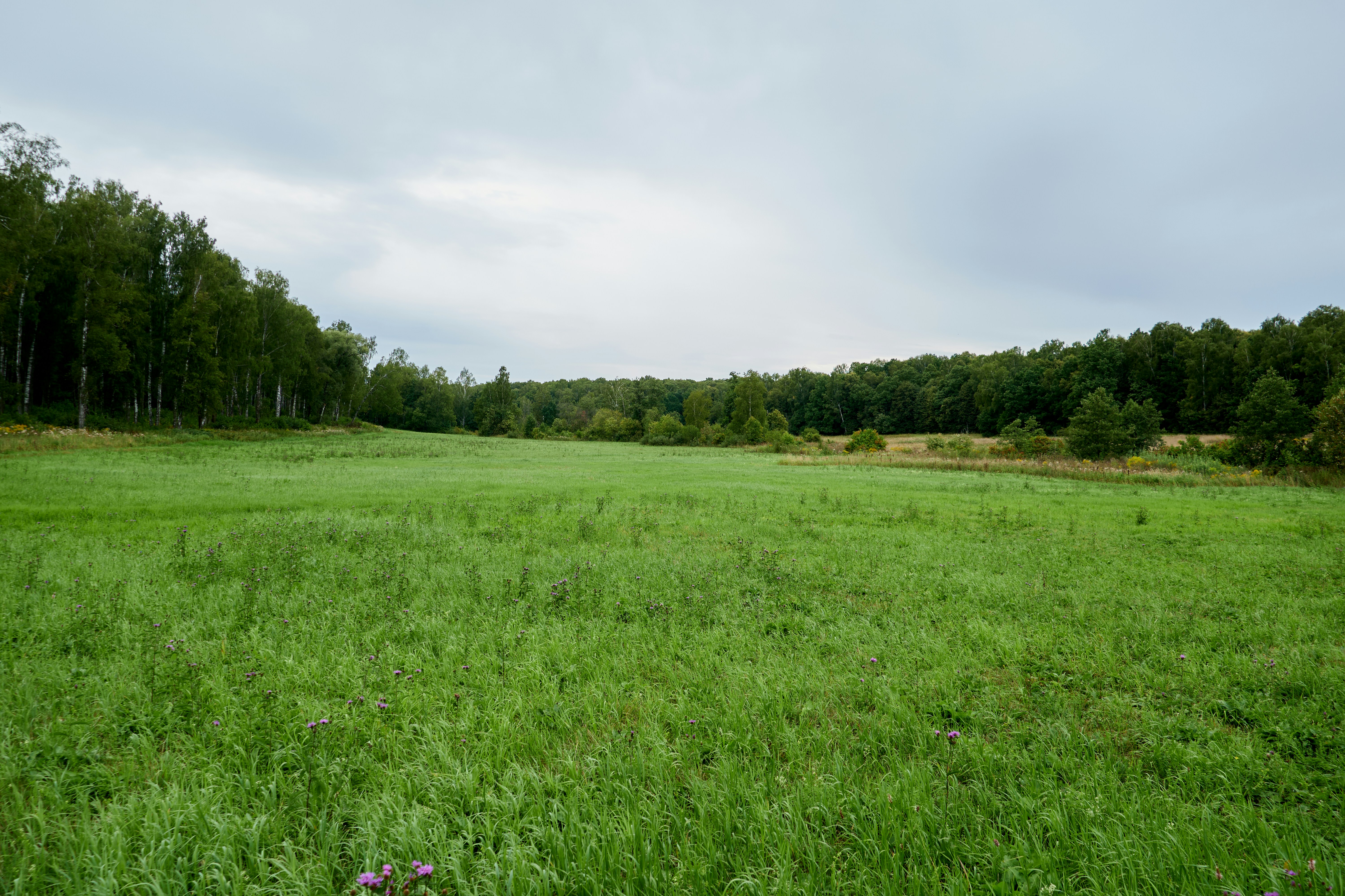 Photo by lostillusion