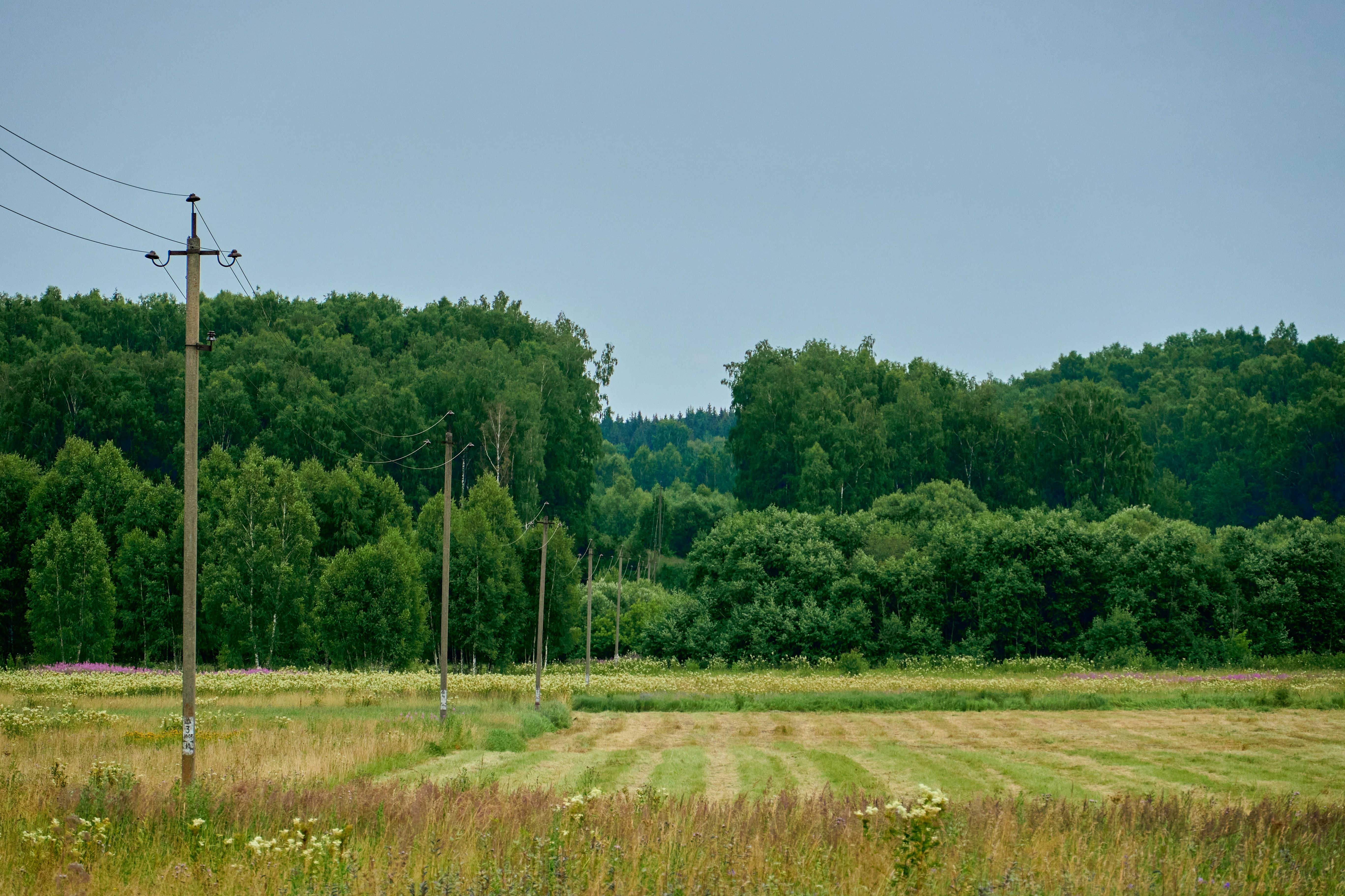 Photo by lostillusion