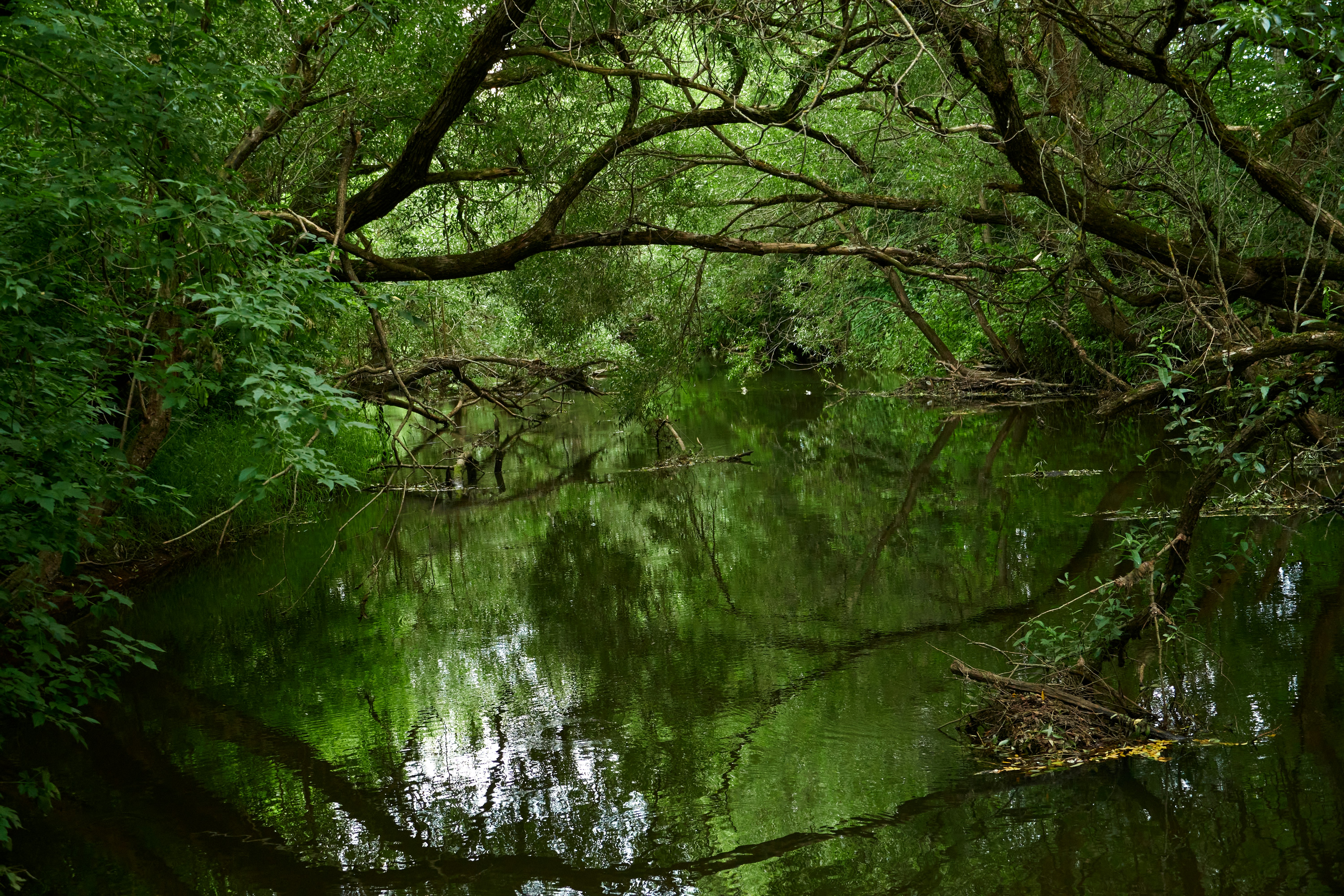 Photo by lostillusion