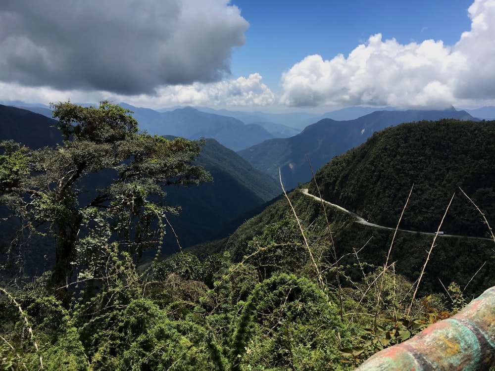 a view of a valley with trees and mountains in the background