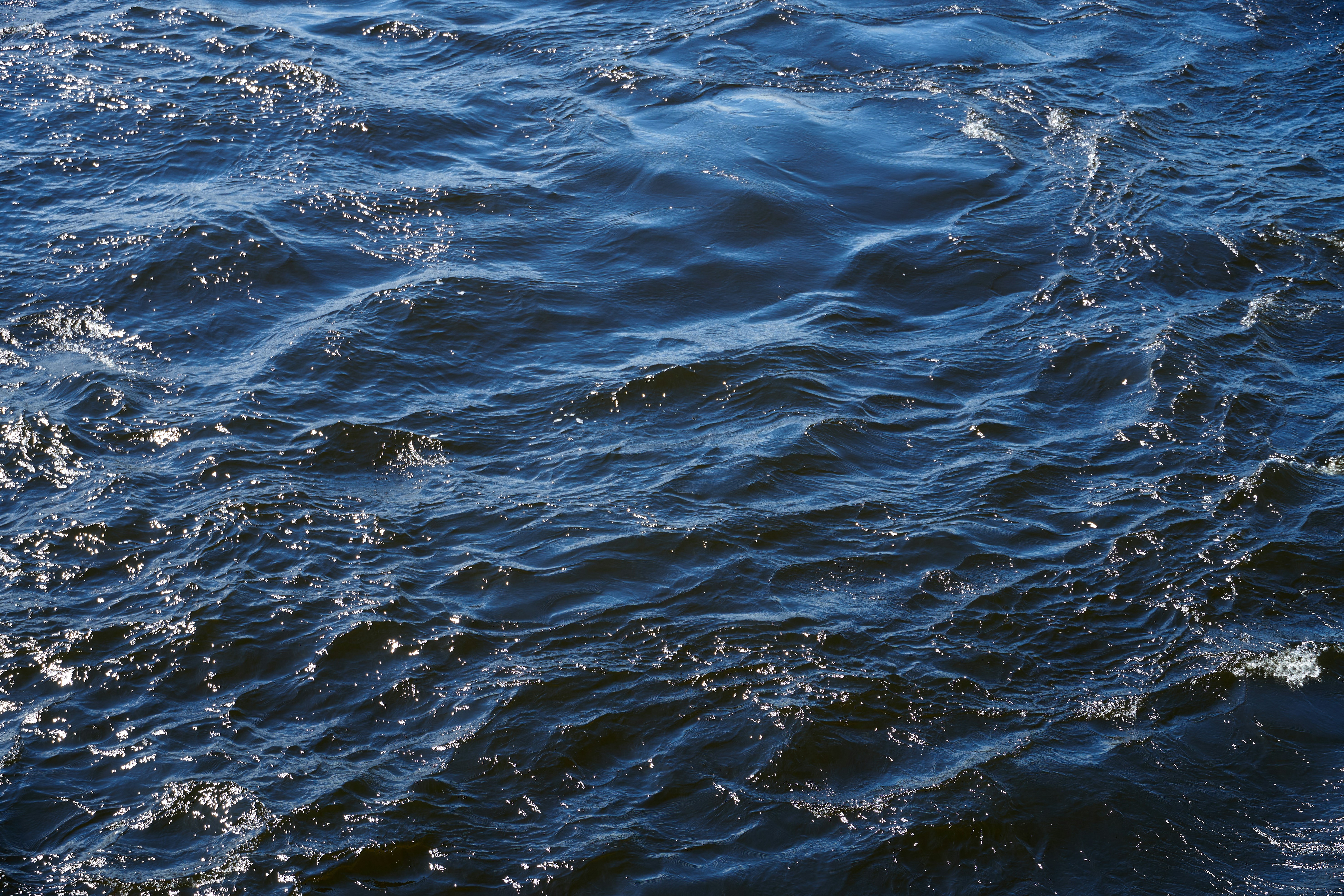 Photo by lostillusion