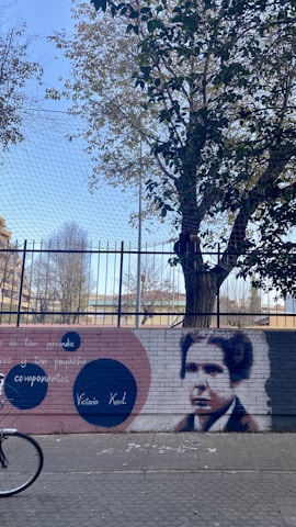 A brick wall features a graffiti mural with a portrait of a person alongside colorful circular designs and text in Spanish. A large tree with green and yellow leaves towers above the wall, casting some shadow. A metal fence stands behind the tree, and part of a bicycle is visible in the bottom left corner.