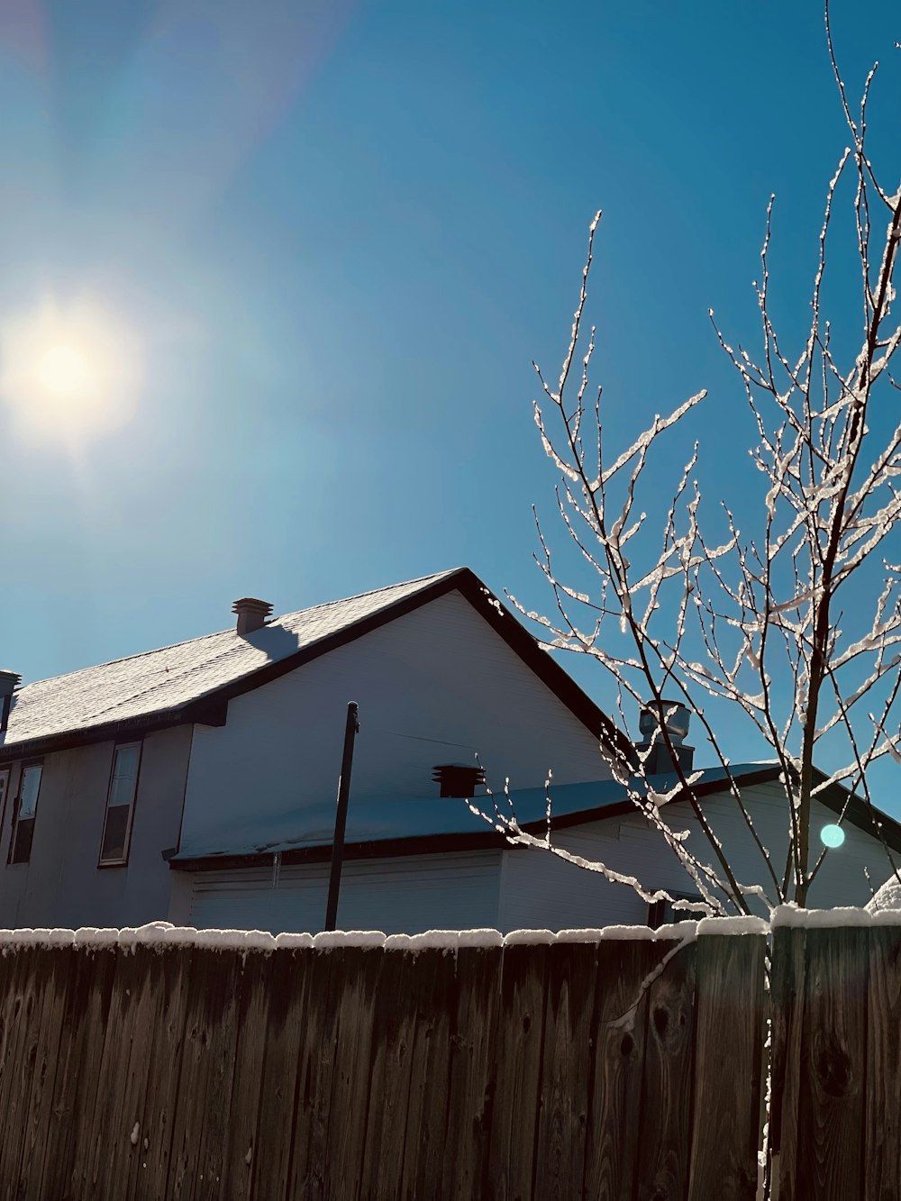 a tree next to a house