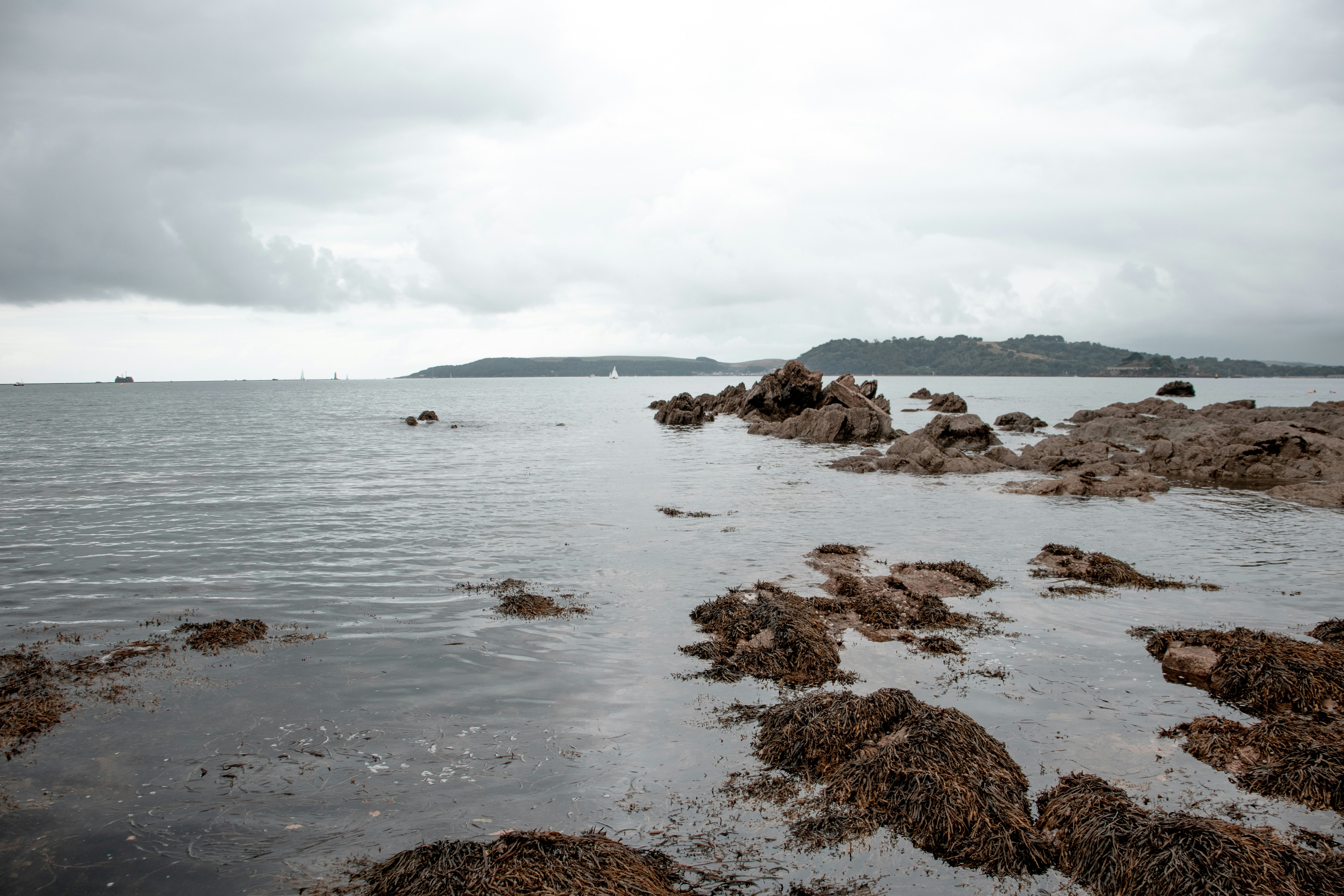 Trivia nights in Plymouth, United States