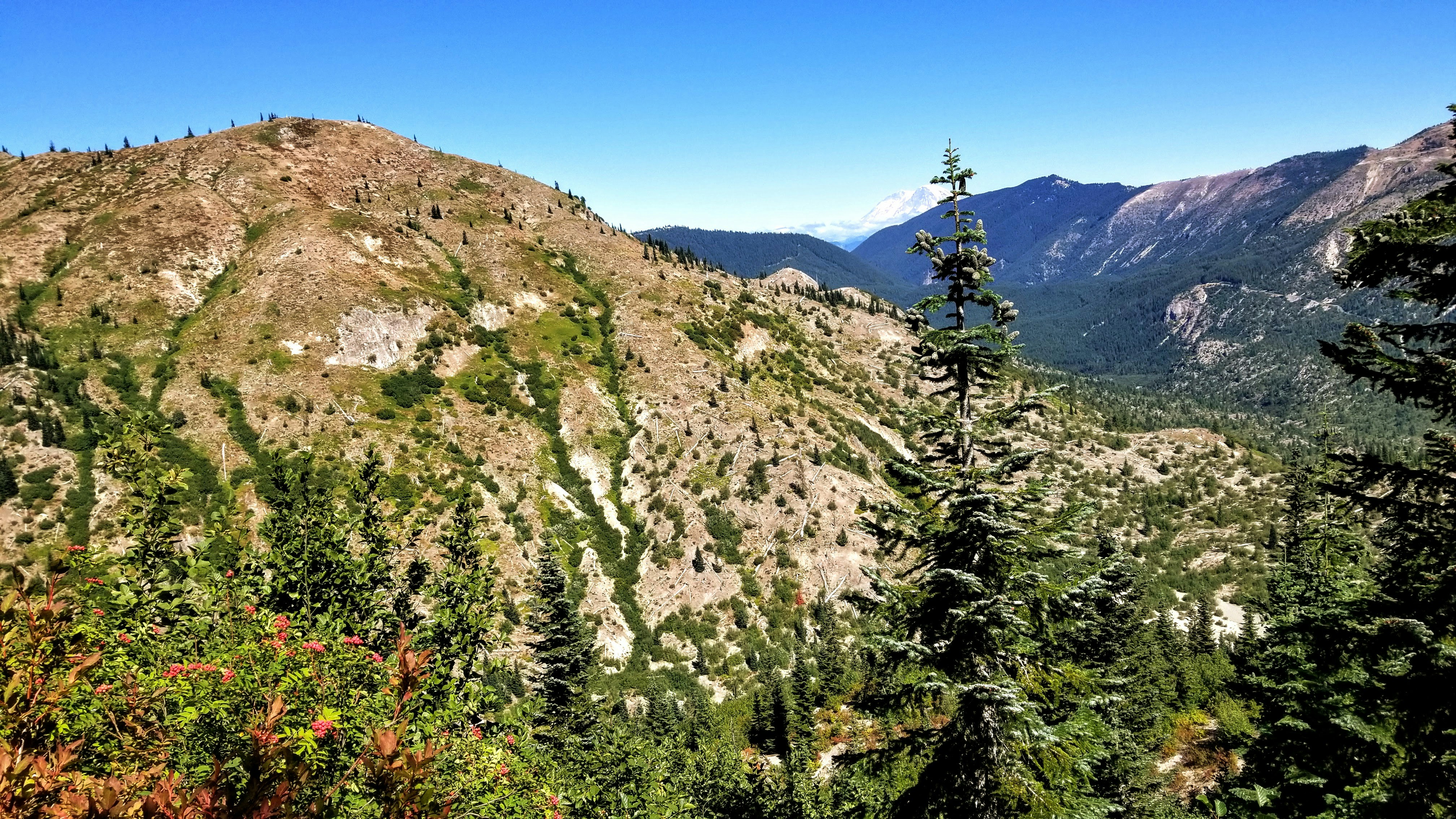 Photo by prphotography262