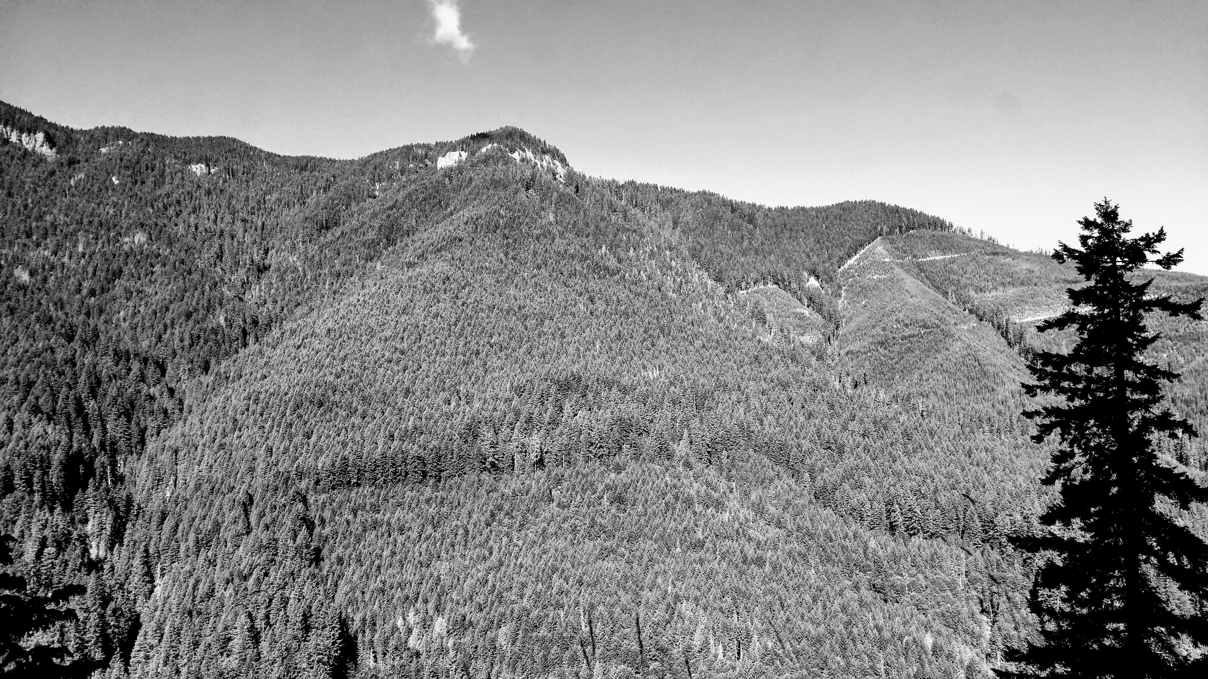 Photo by prphotography262