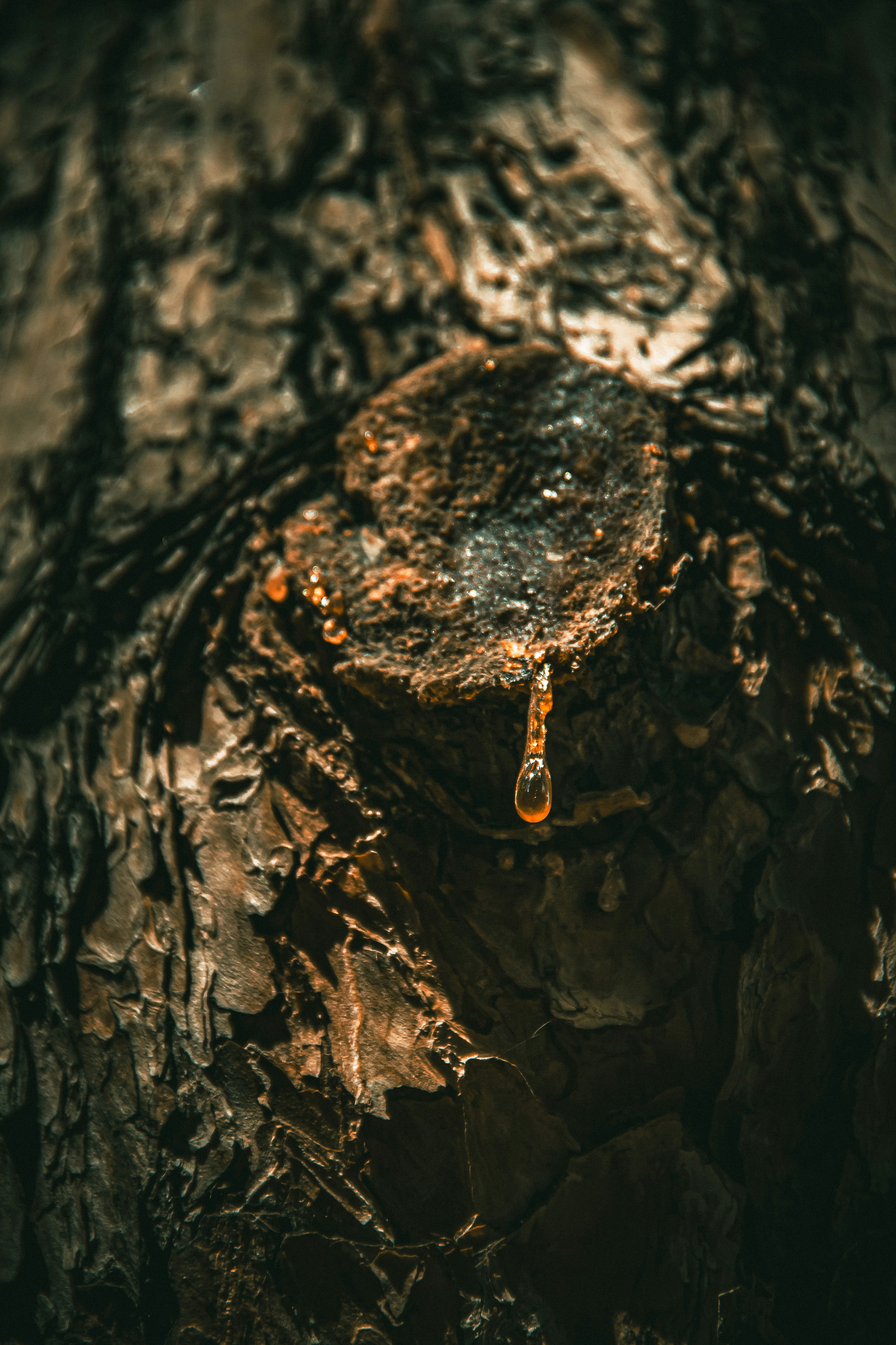 Tămâie naturală pură