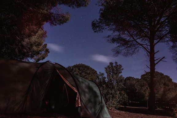 A serene campsite under a starry night sky.