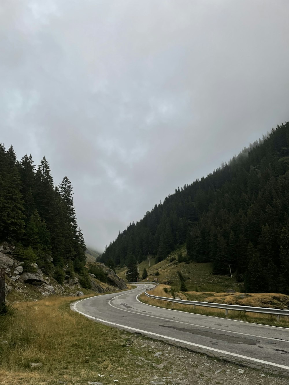 a road with trees on the side