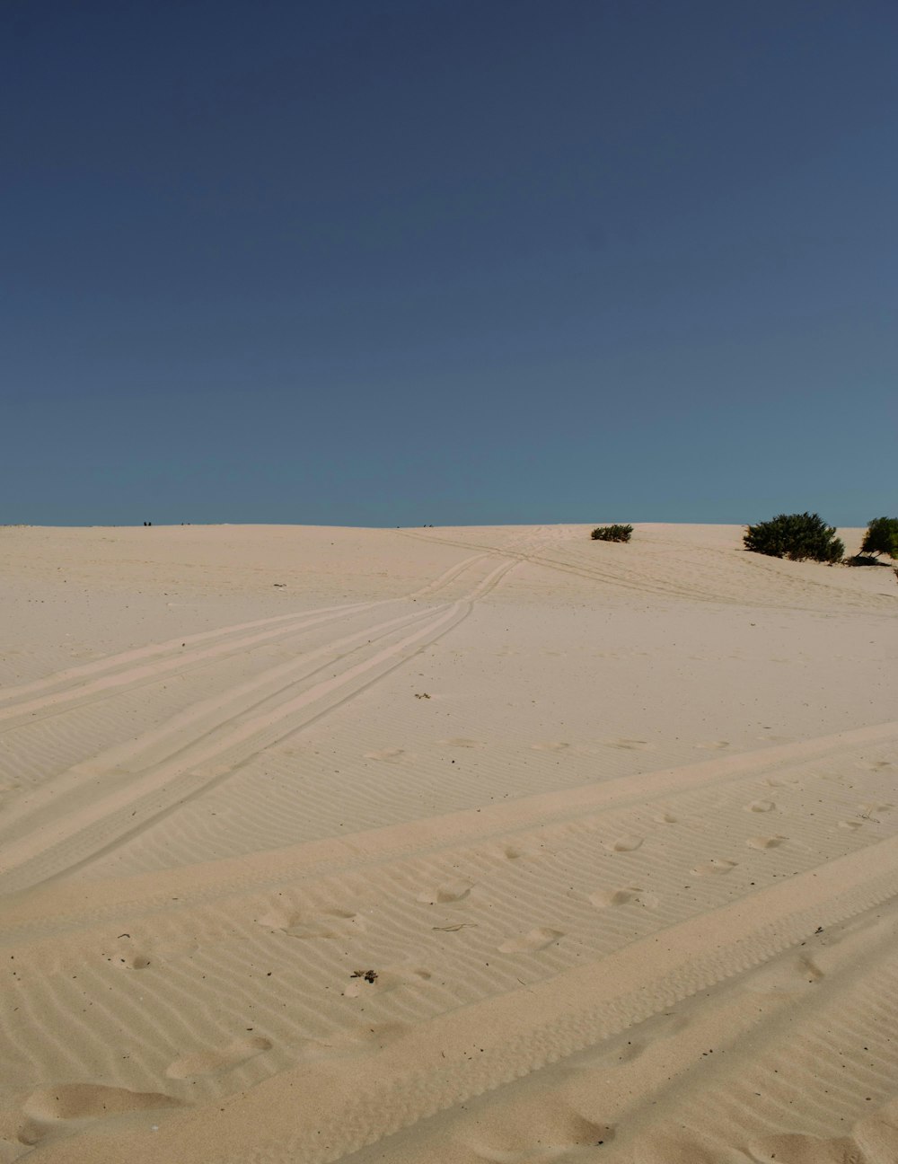 a sandy area with trees in the distance