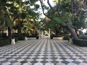 a stone walkway with trees on either side of it