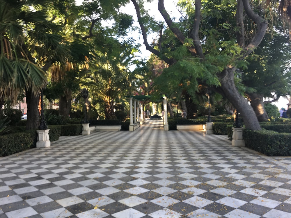 a stone walkway with trees on either side of it