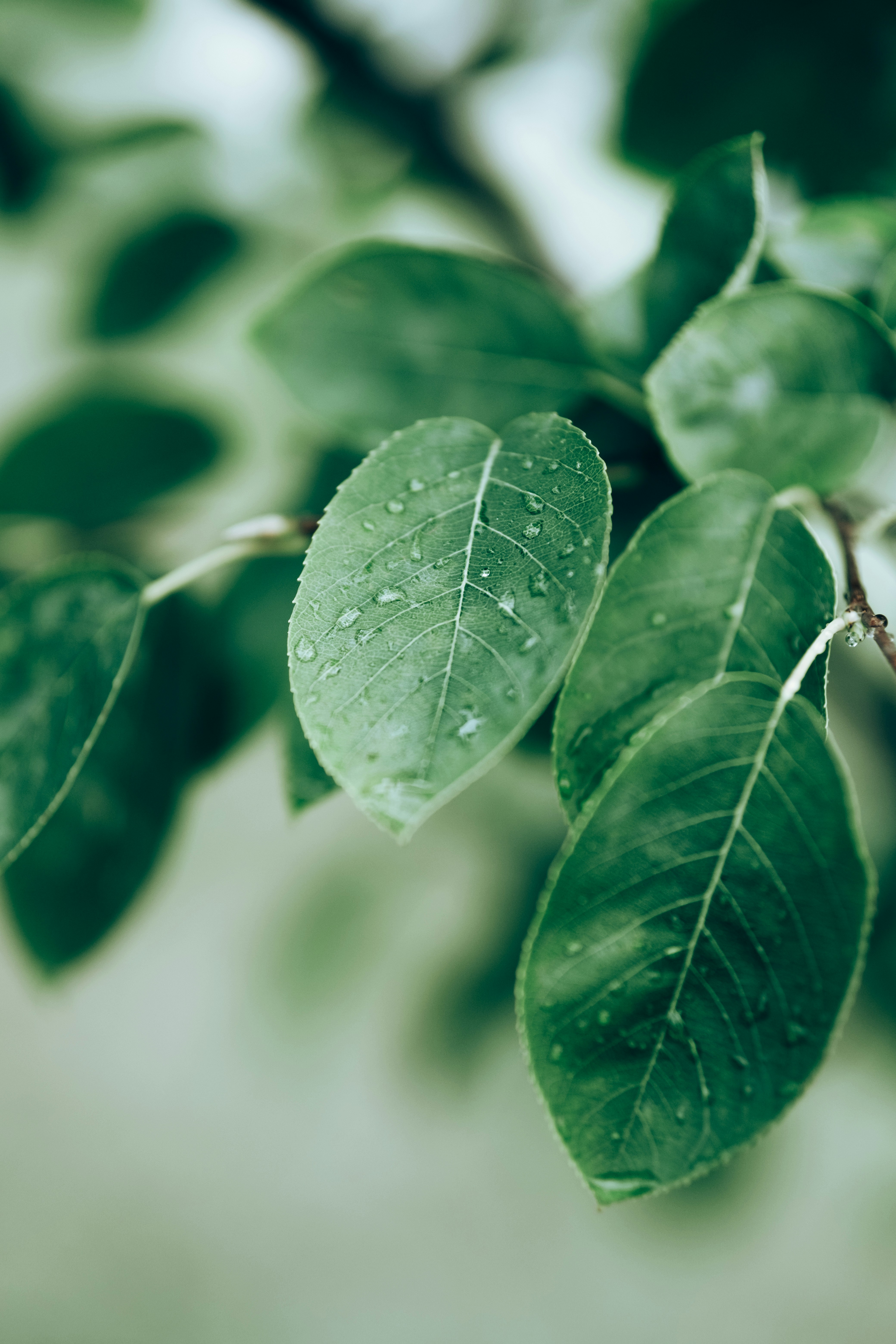 Photo by danjayjefferson