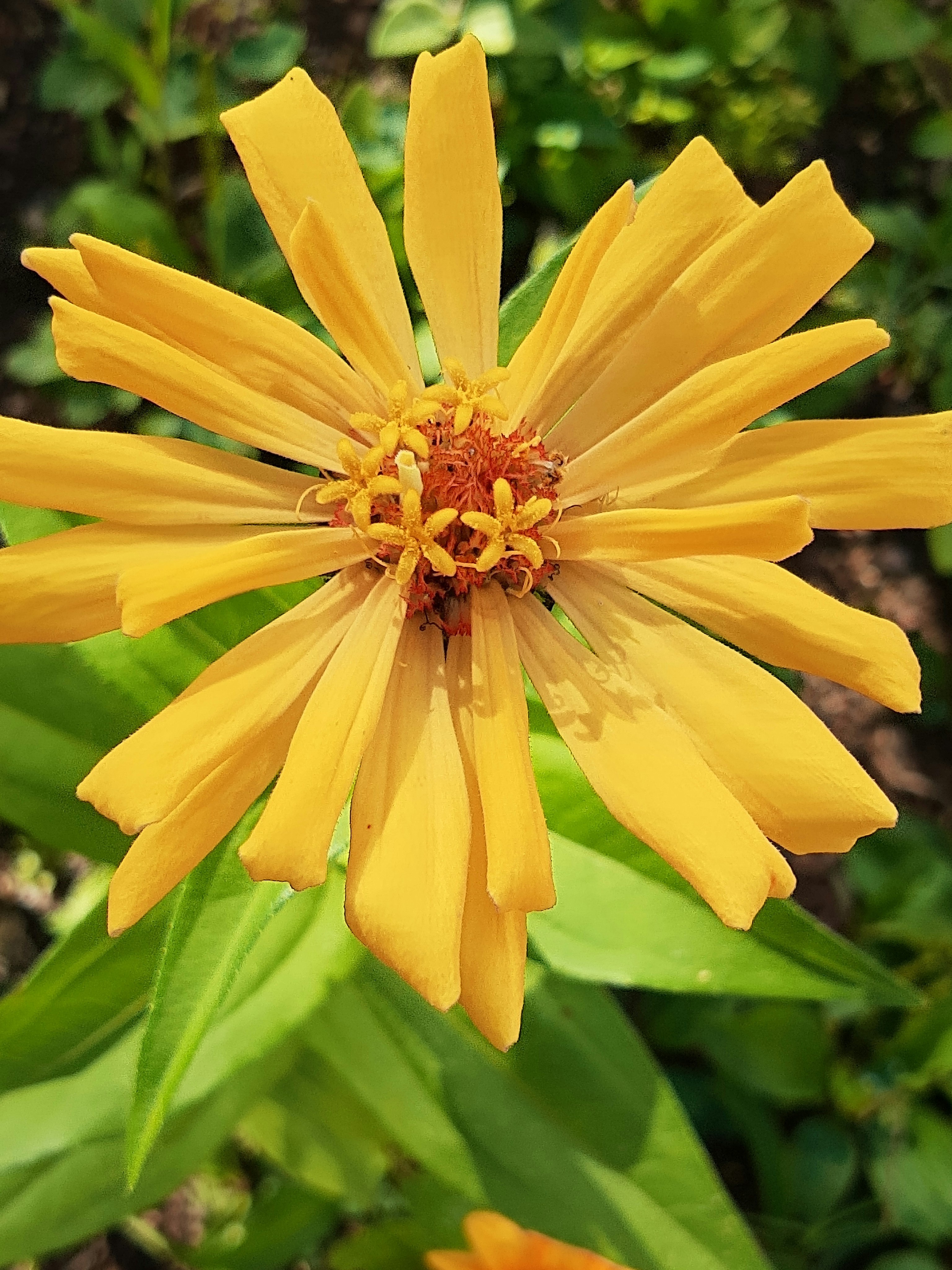 Photo by julieyjulie