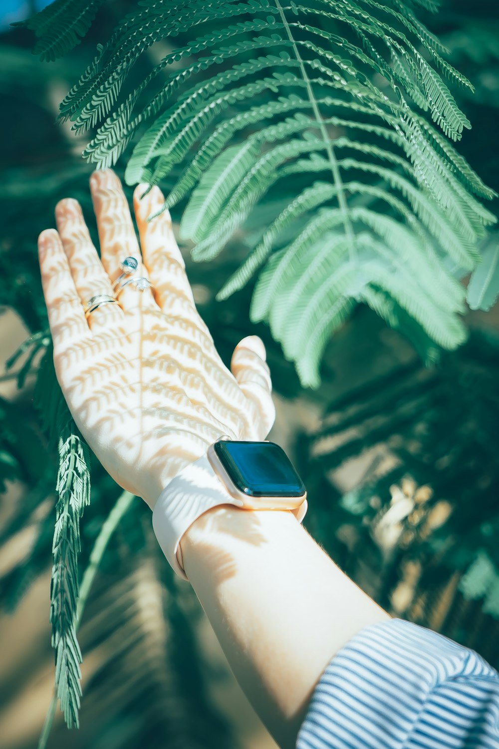 a hand holding a leaf