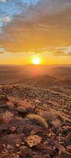 A picturesque sunset over the ranch, showcasing the natural beauty of roll'n freedom ranch.