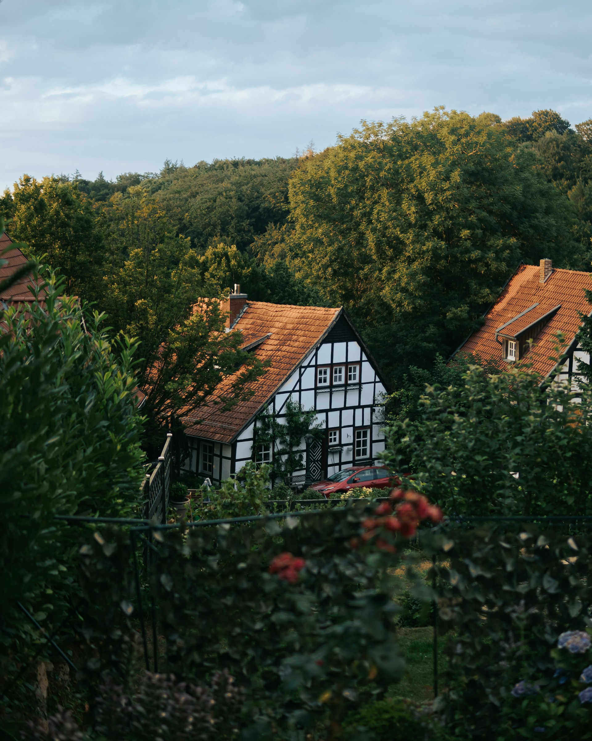 a house surrounded by trees
