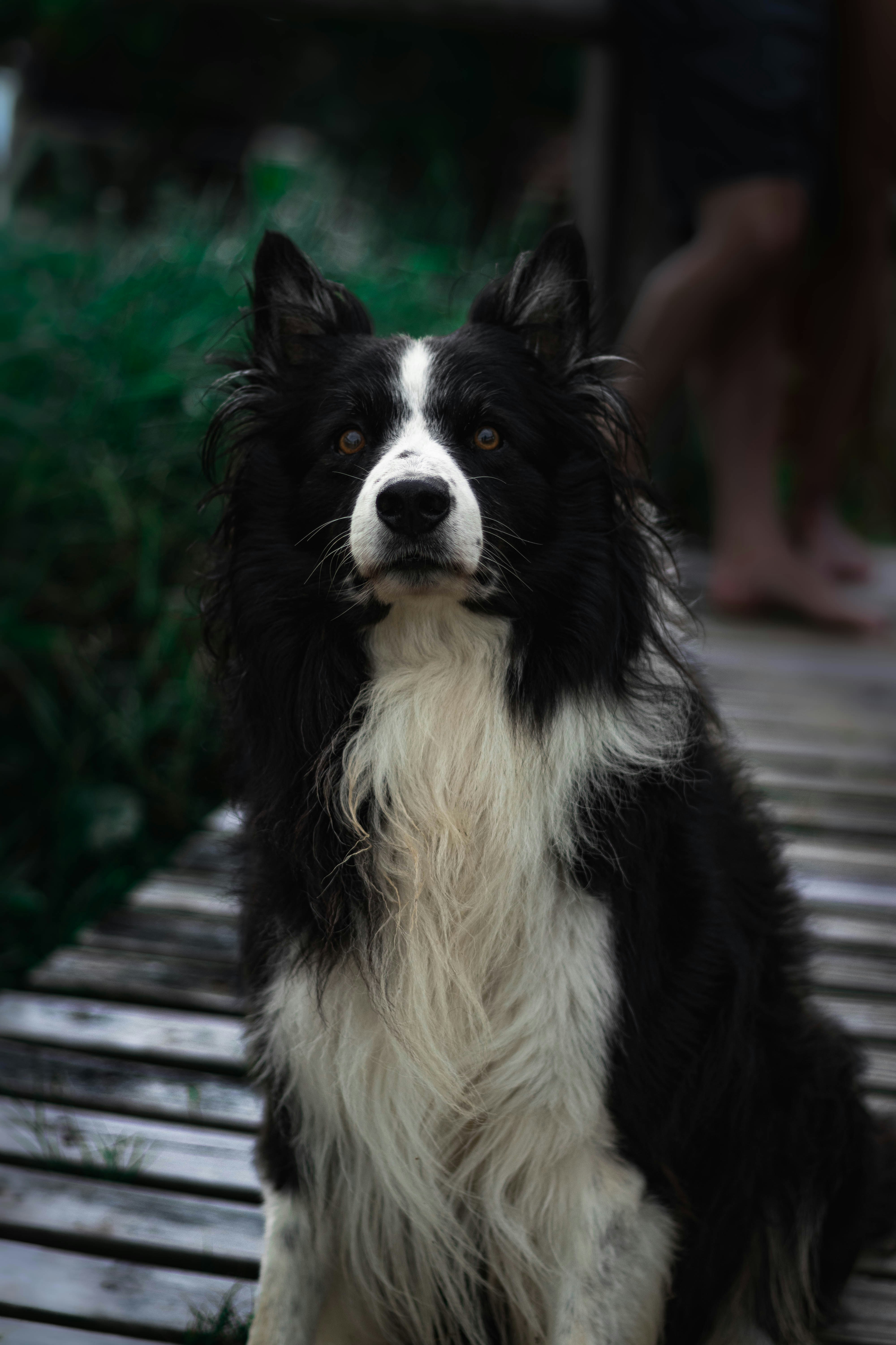 Photo by gabrielfotos