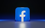 facebook  logo, De Boscheik