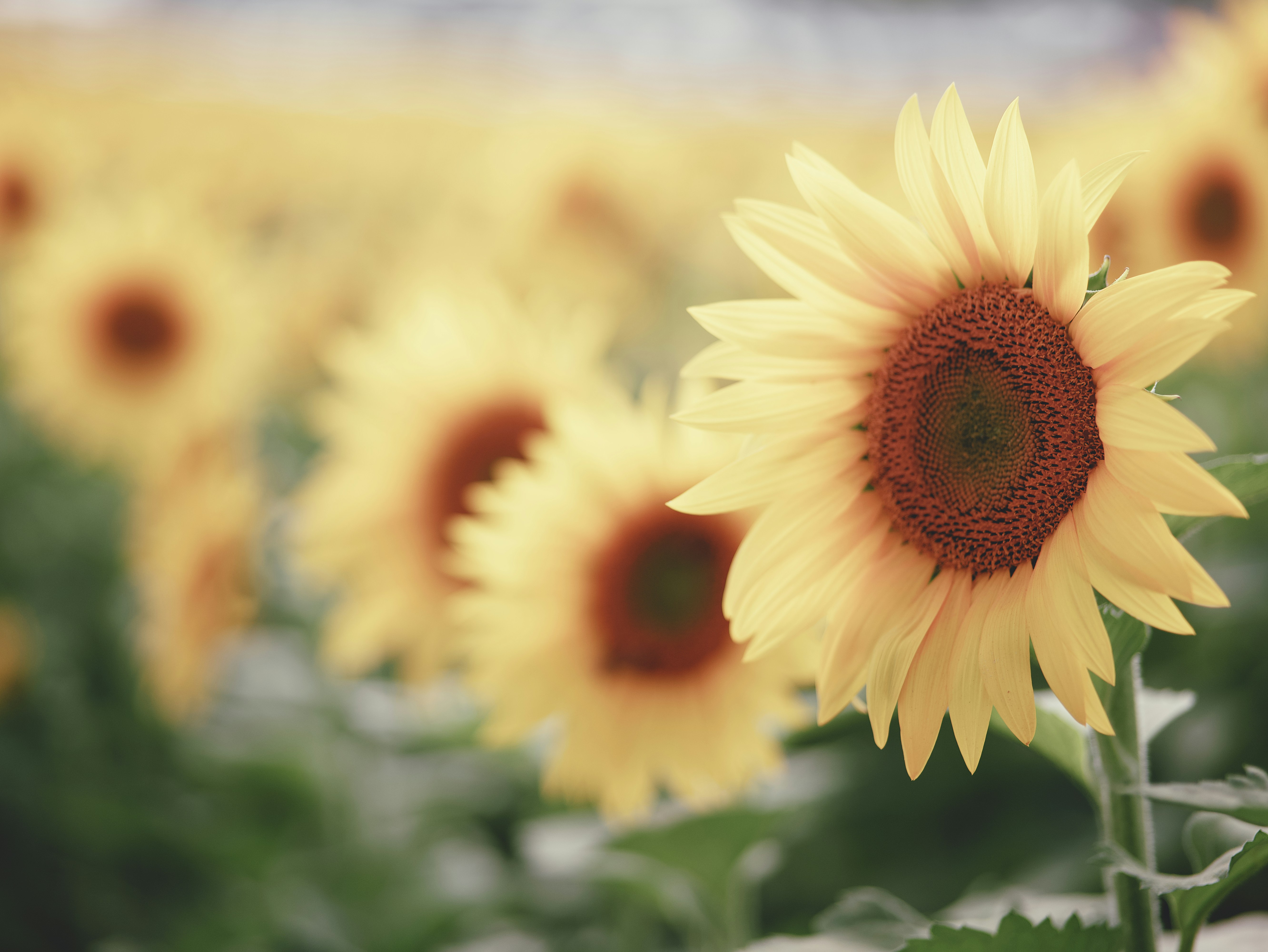 Photo by aaronburden