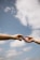 Two hands reaching towards each other against a backdrop of a clear blue sky with scattered clouds, conveying a sense of connection and intimacy.