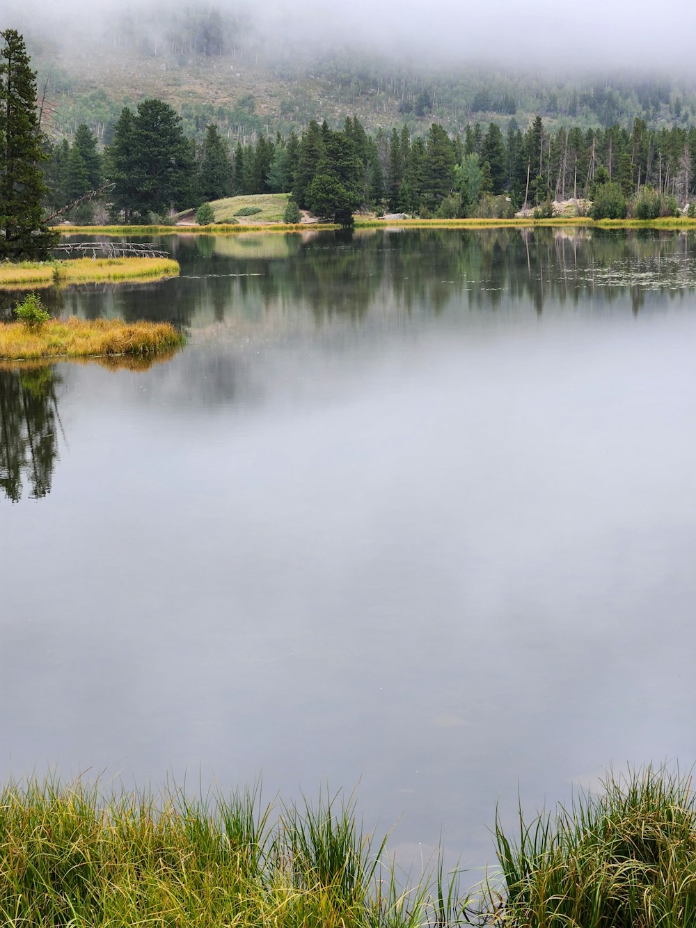 a lake with trees and grass around it