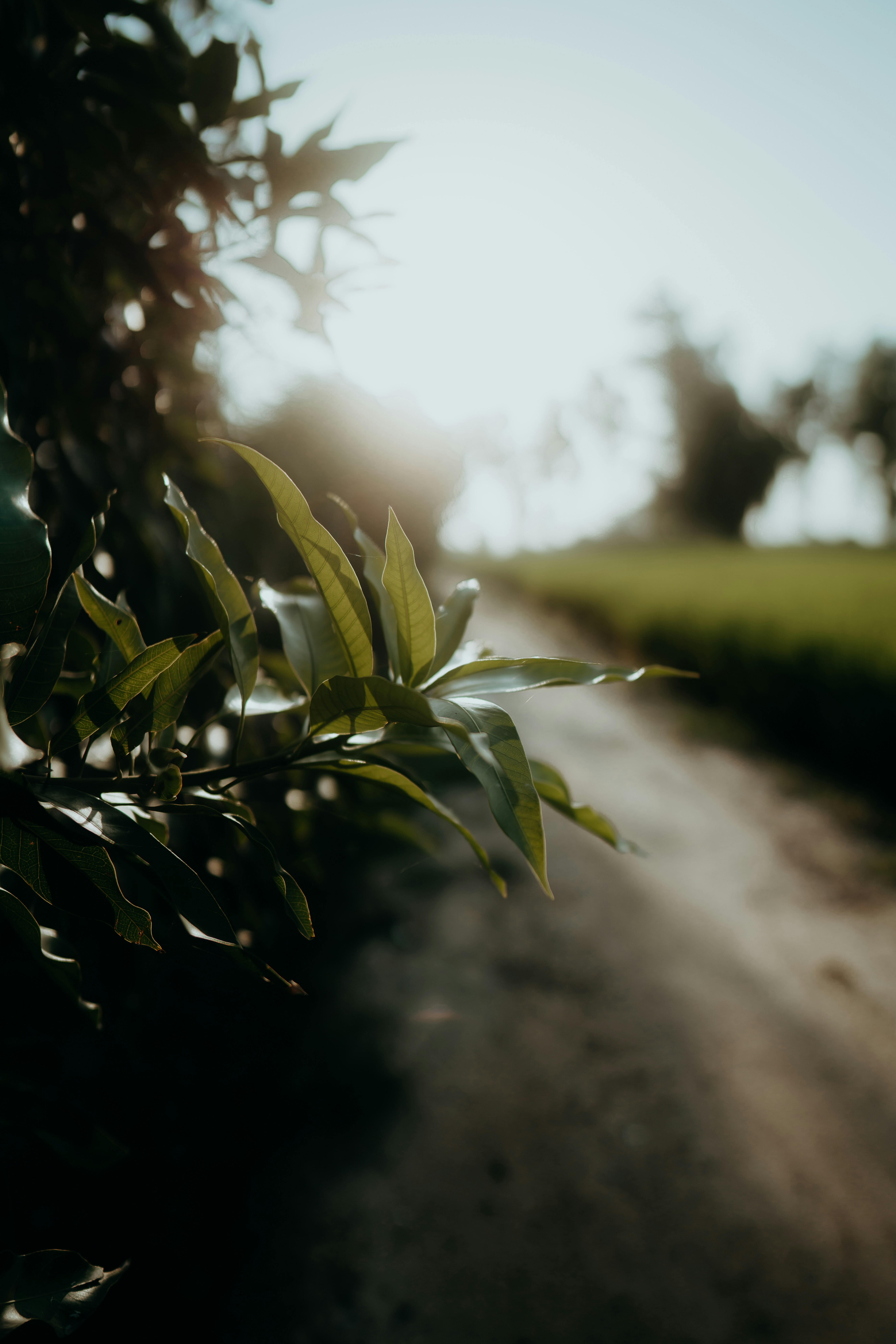 Photo by designbyjas