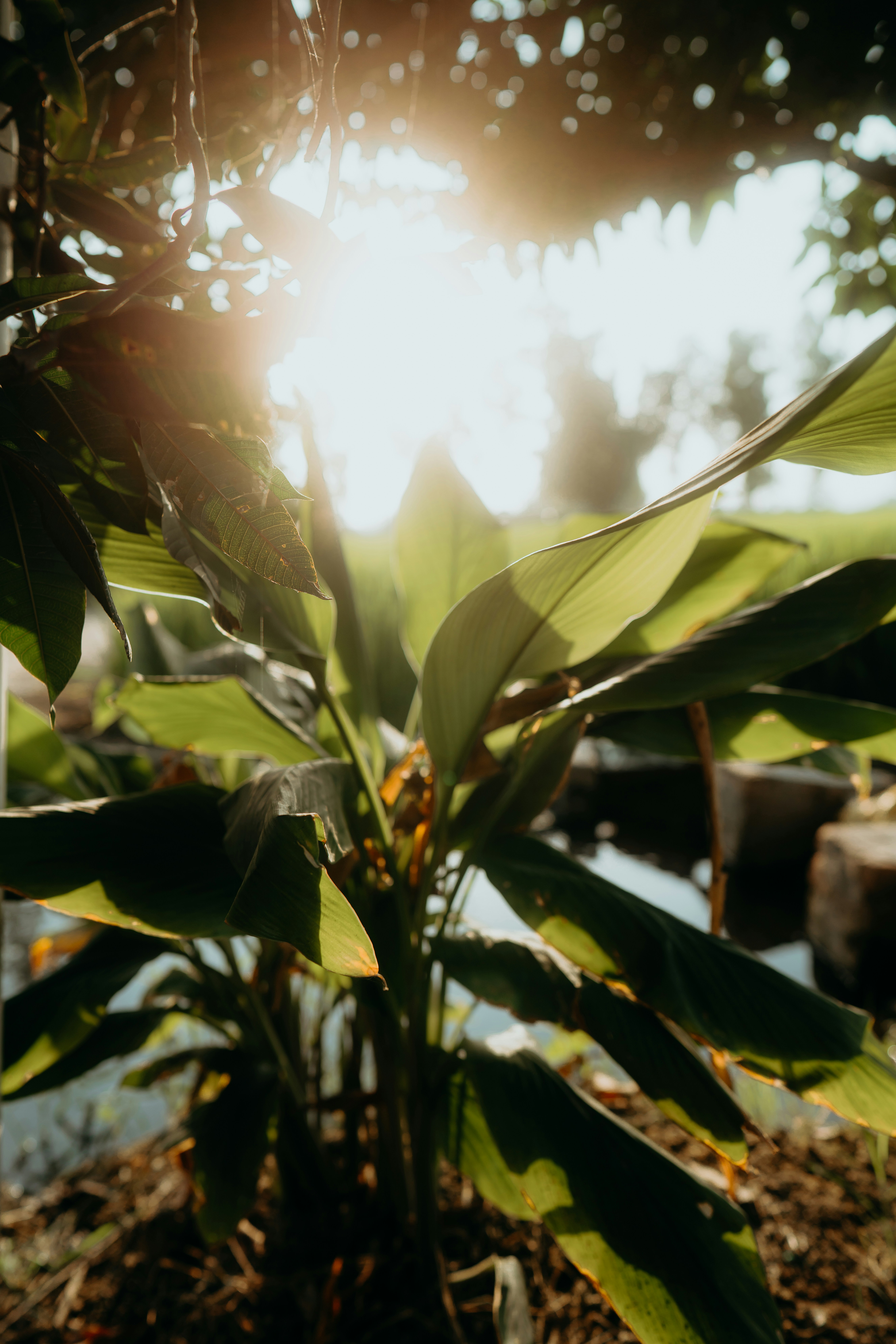 Photo by designbyjas