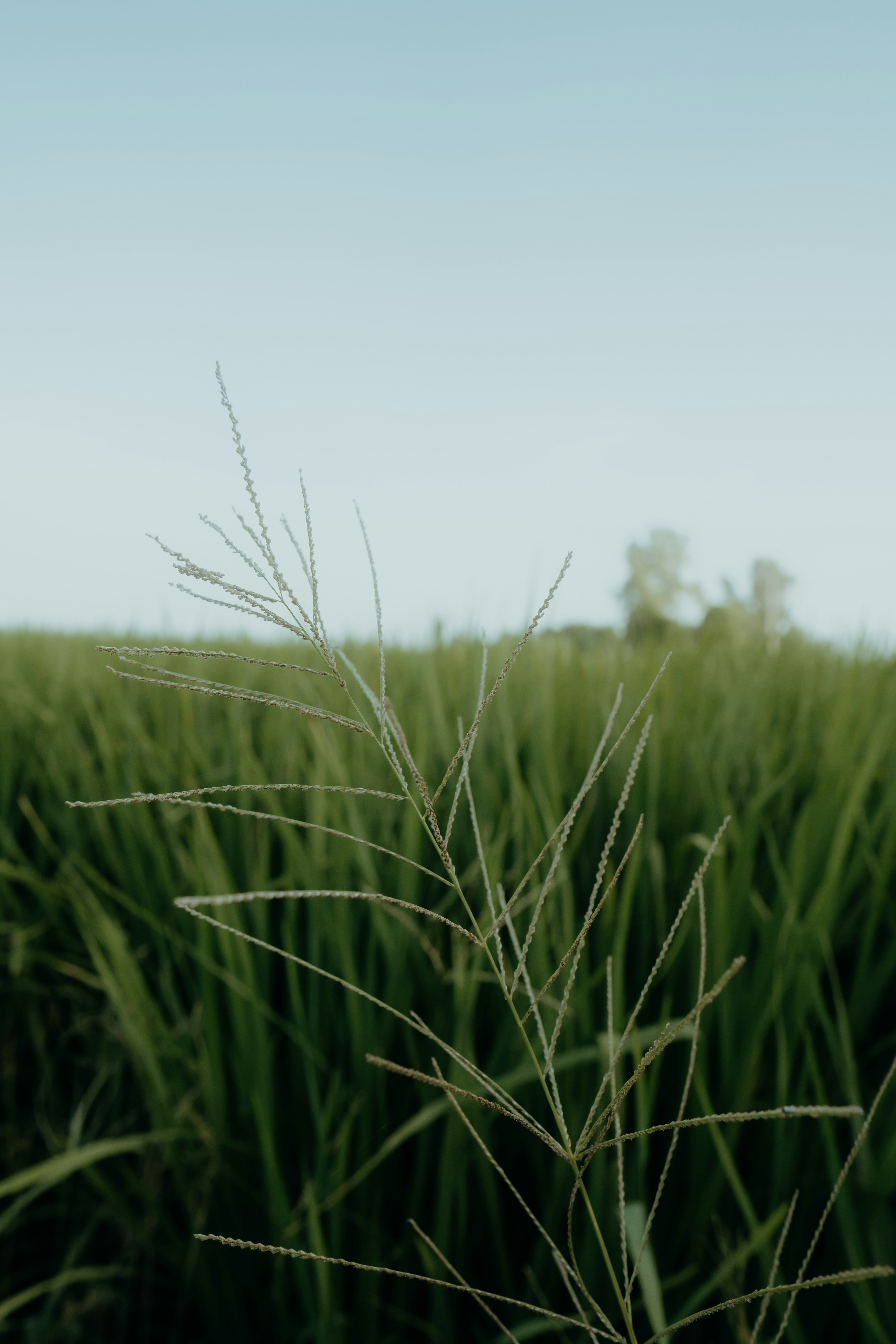 Photo by designbyjas