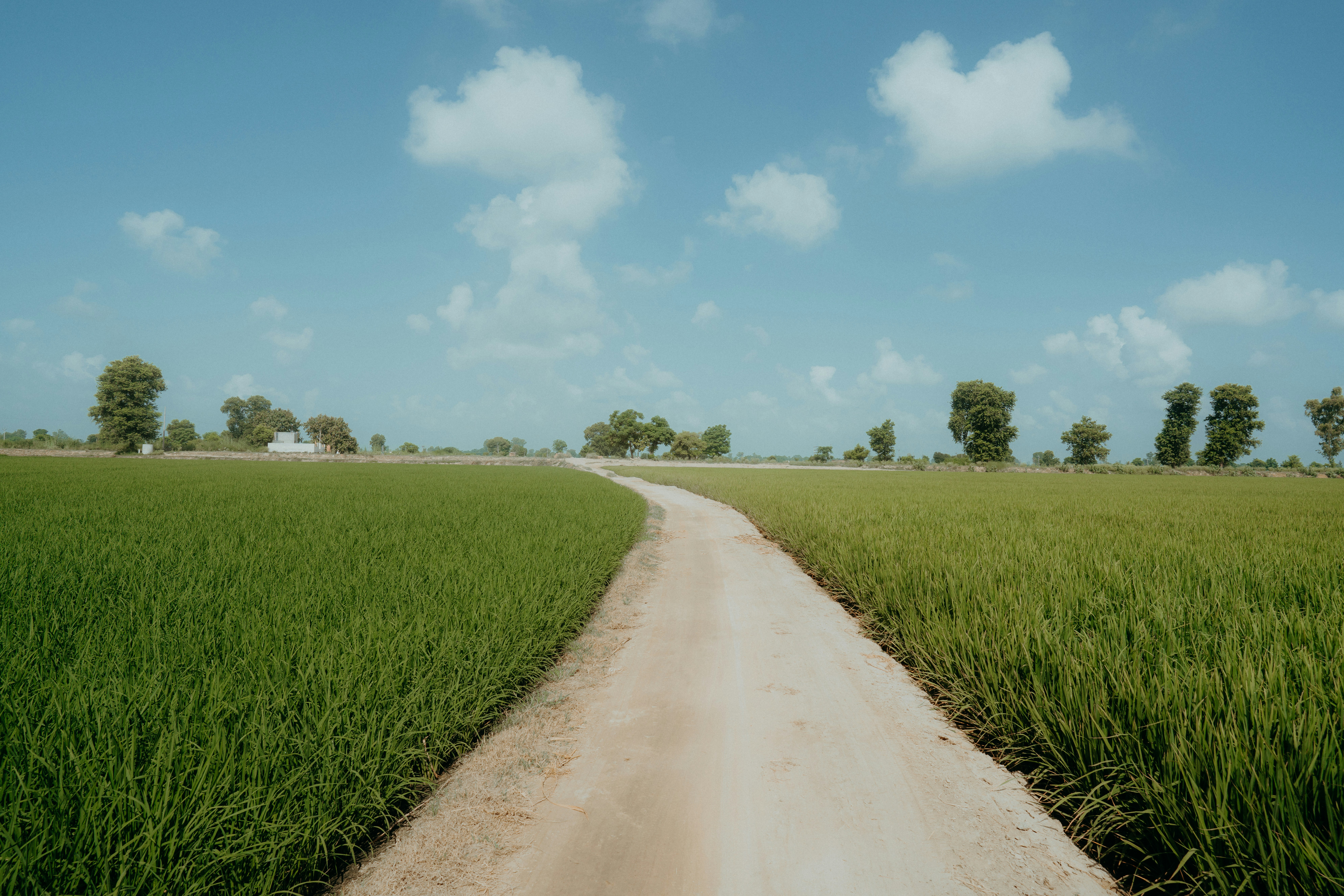 Photo by designbyjas