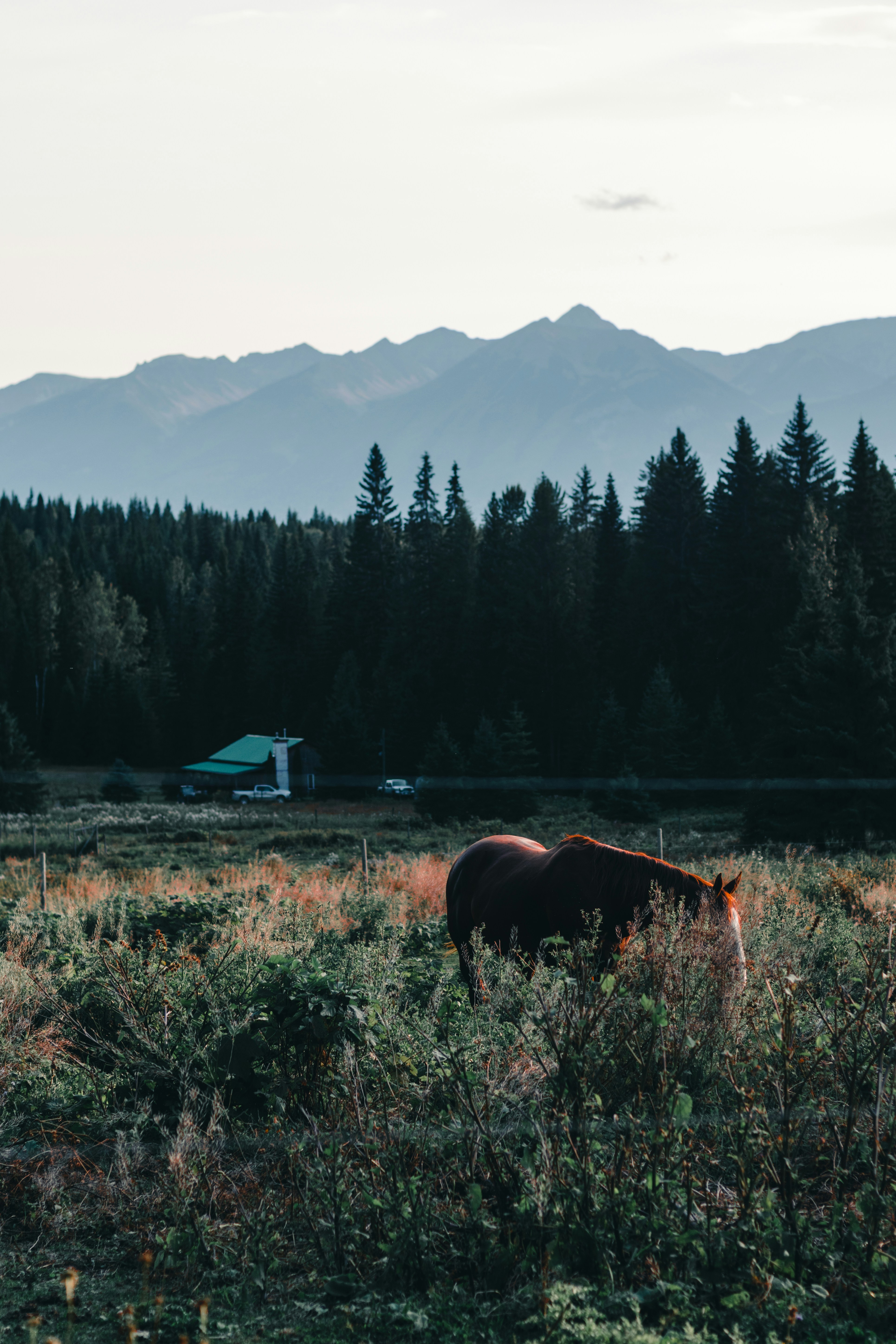 Photo by lureofadventure