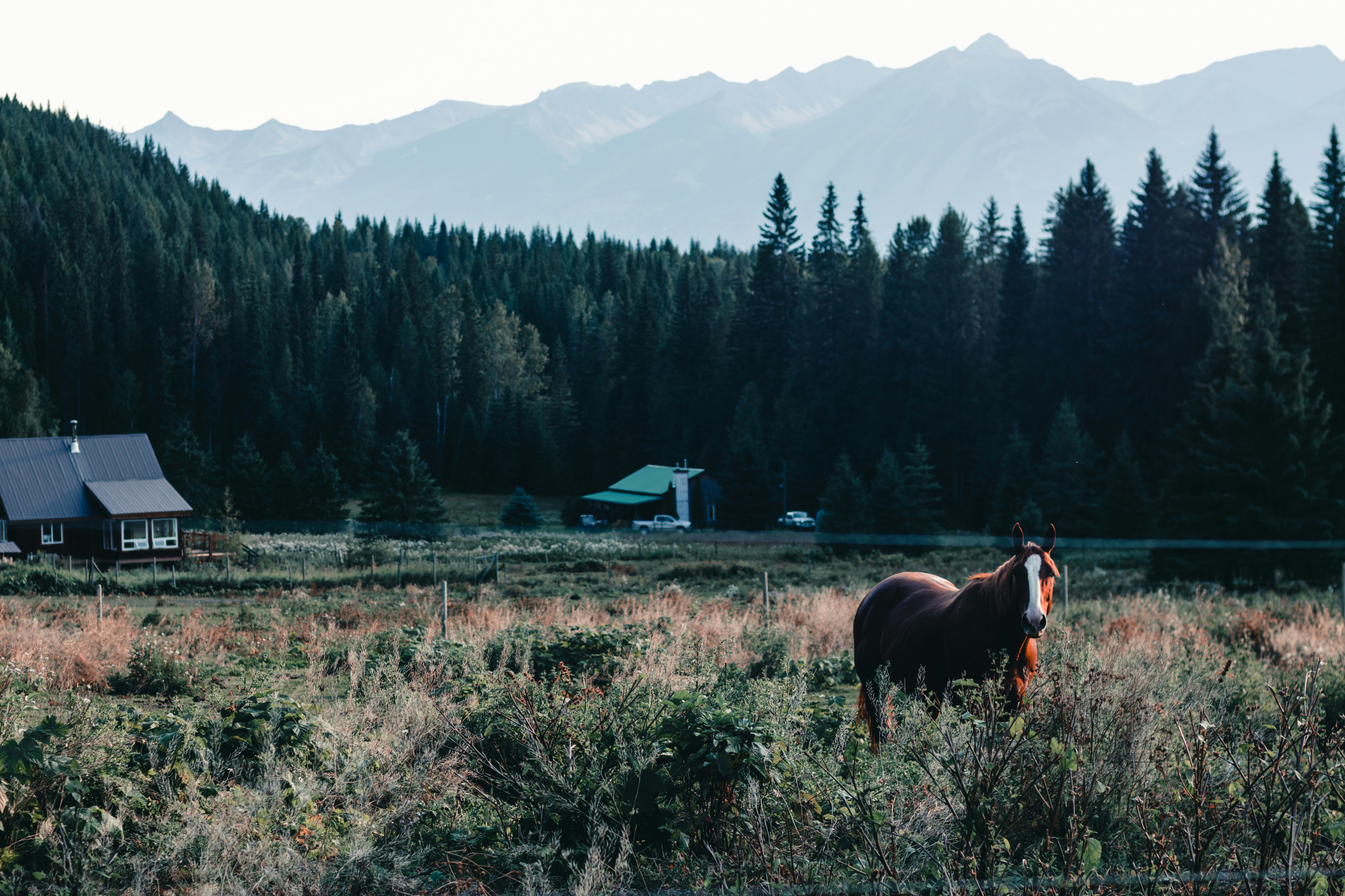 Photo by lureofadventure