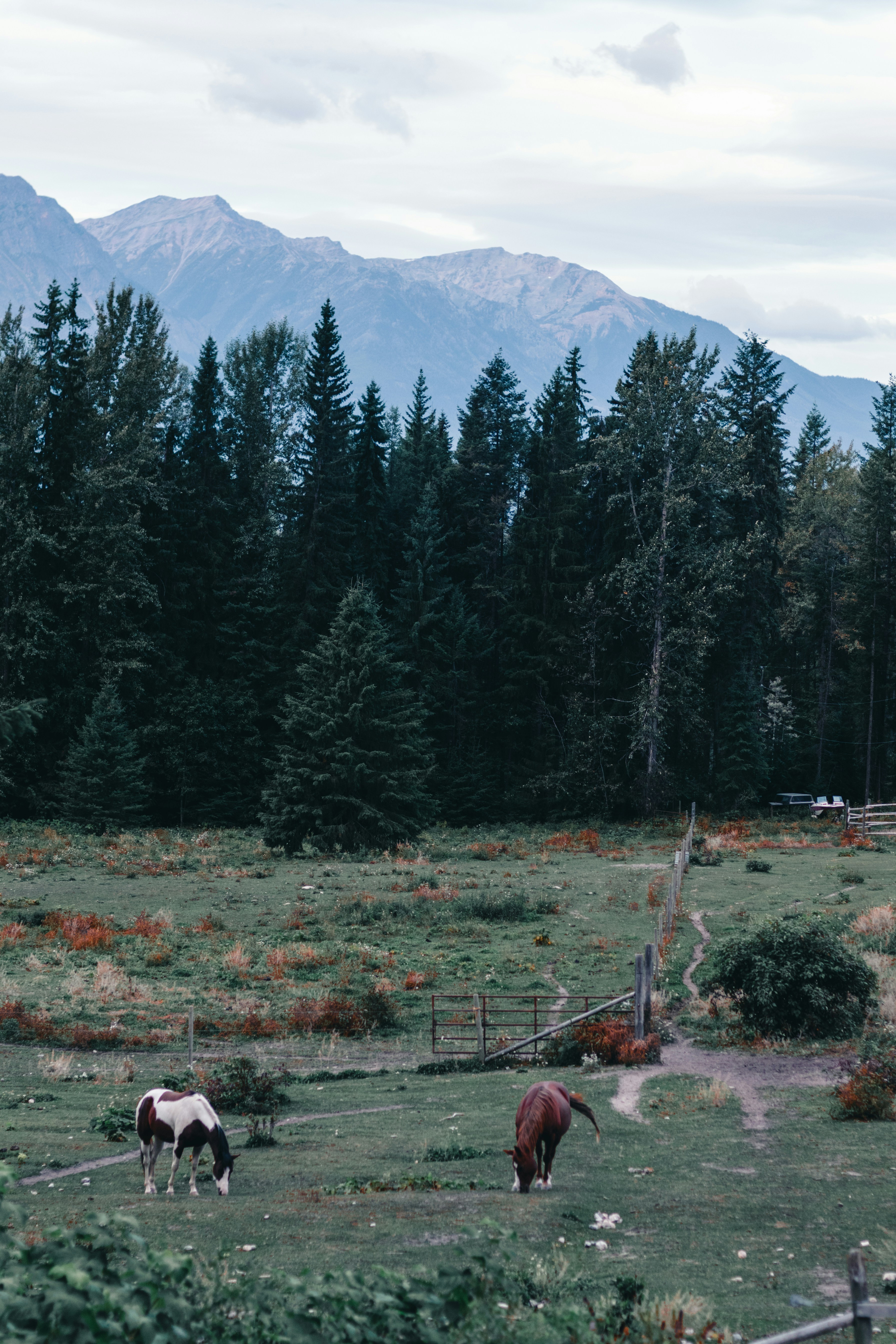 Photo by lureofadventure