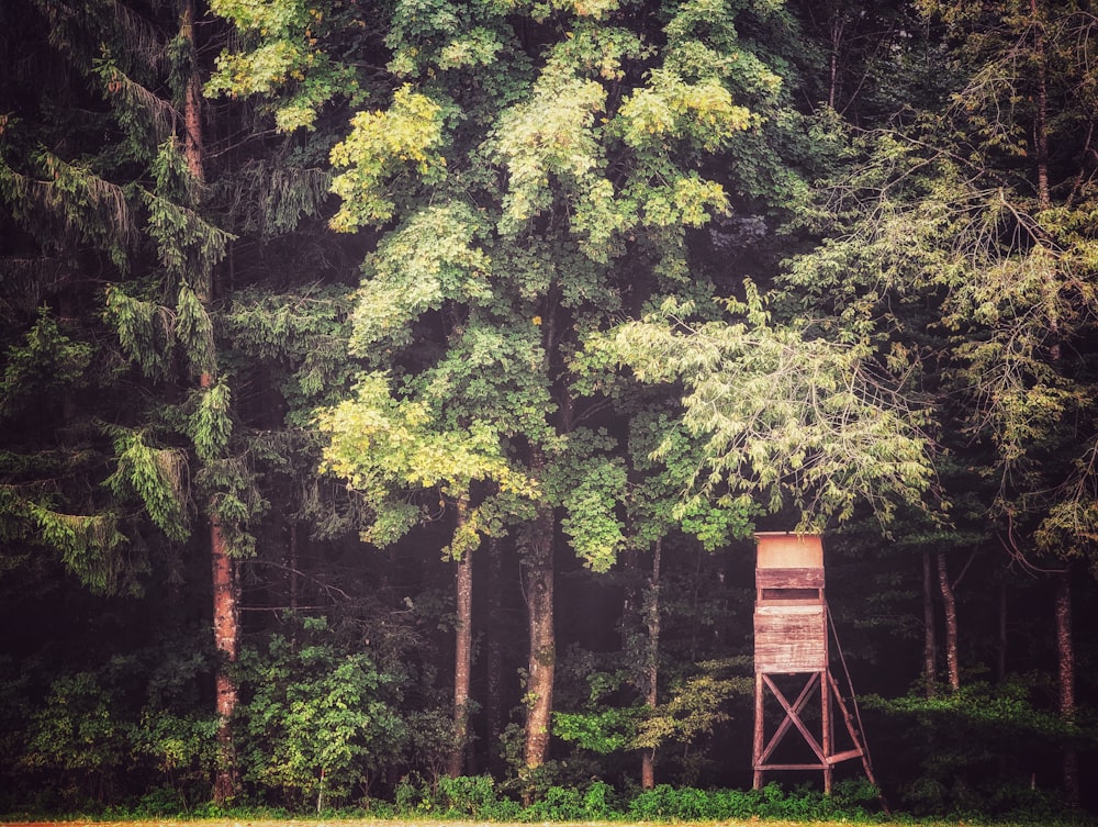 Una escalera roja en un bosque