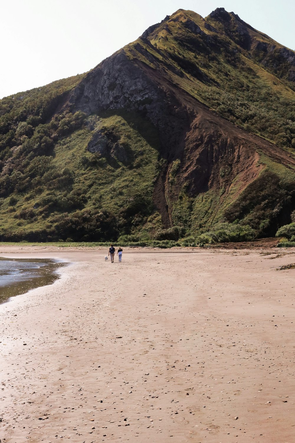 people walking on a beach