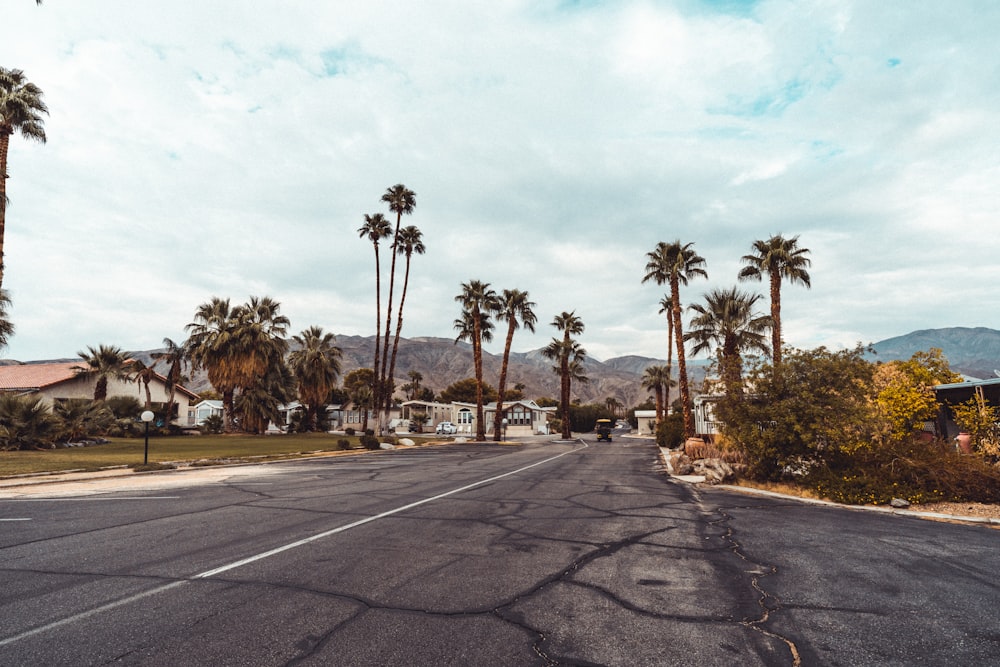 a road with palm trees on the side