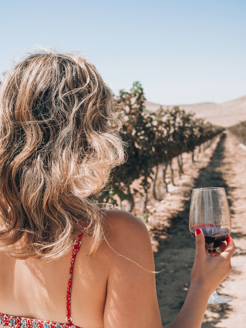 una persona sosteniendo una copa de vino