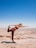 A person wearing maroon fitness clothing is performing a yoga or stretching pose on a rocky plateau. The person is balancing on one leg while holding the other leg behind them, with one arm extended forwards. The background shows an expansive, bright blue sky and a vast, barren landscape.