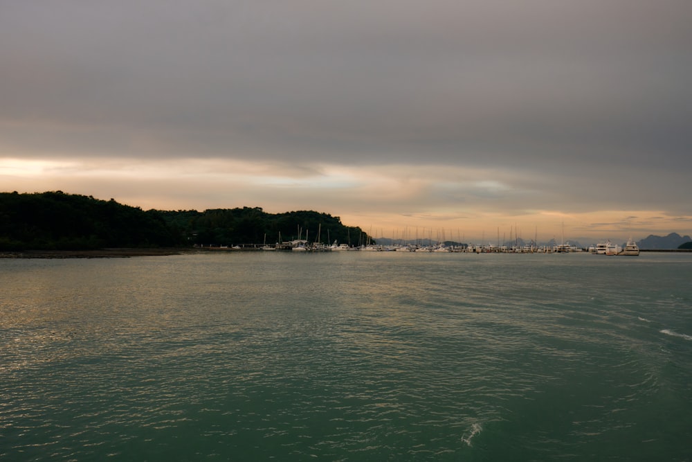 a body of water with trees and buildings in the background